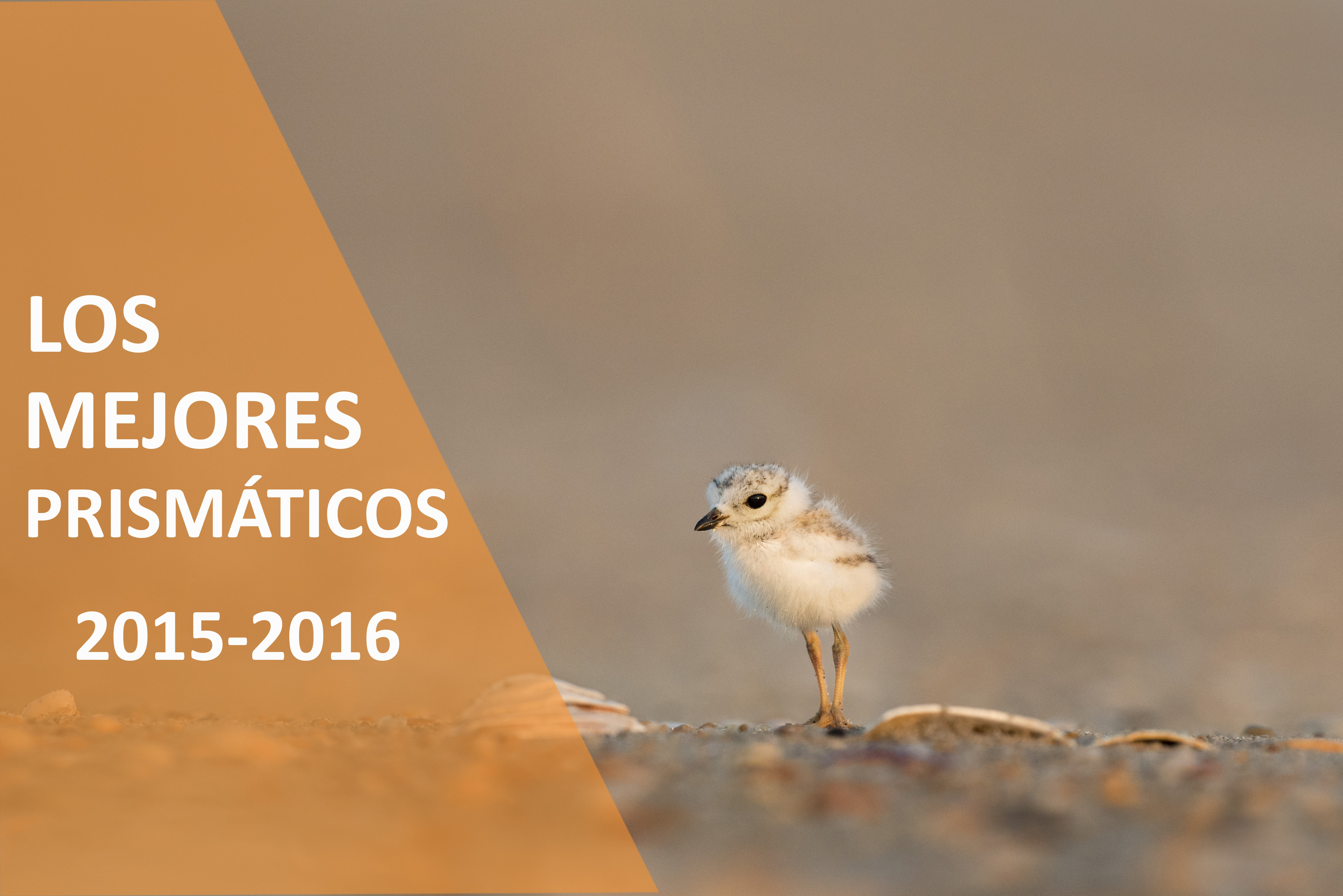 Los mejores prismáticos 2015-2016